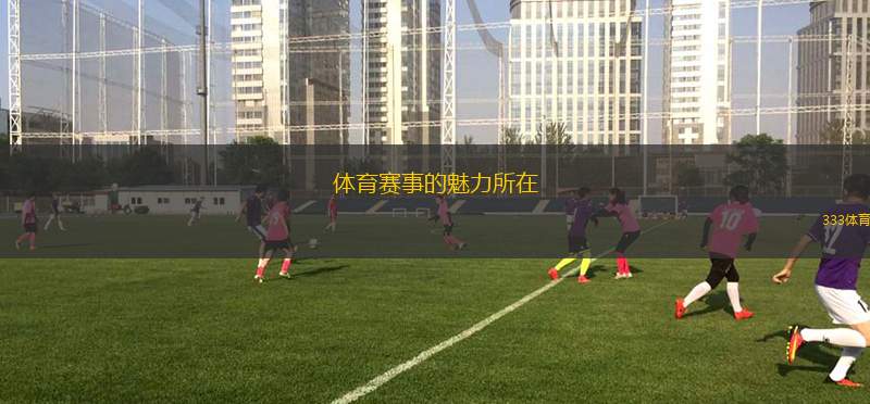 體育賽事的魅力所在